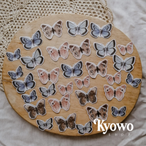 Set mariposas x27pcz