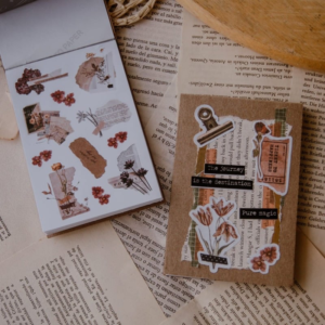 Libro de stickers 30 hojas