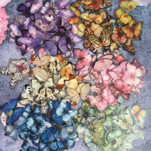 MARIPOSAS PET STICKERS X