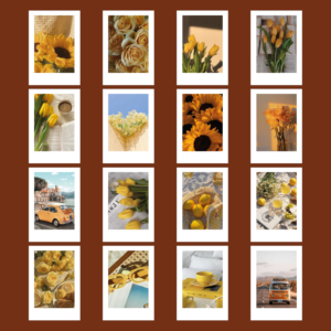 MINI POLAROID X16 STICKERS